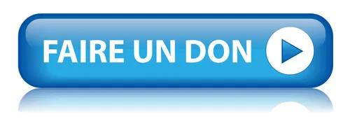 Formulaire de don